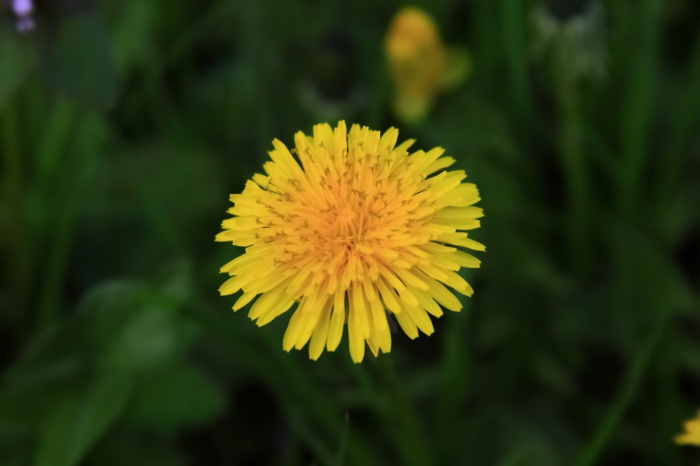 2011 04 25 IMG 28623